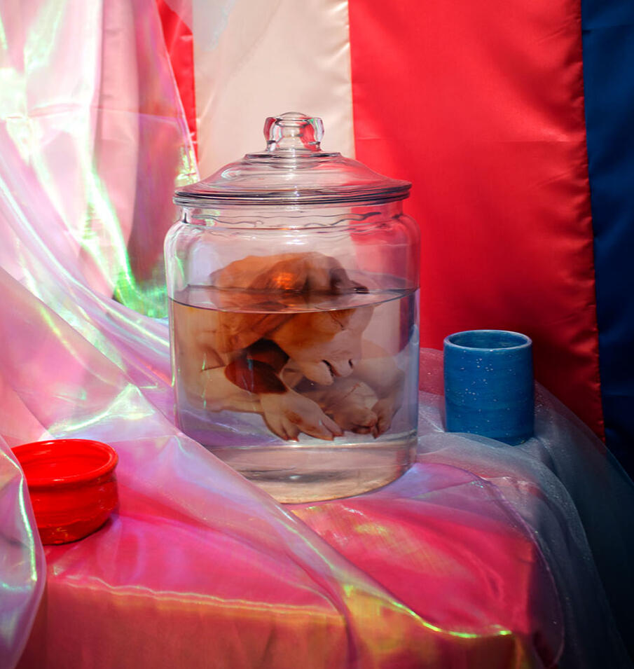 Untitled Untitled